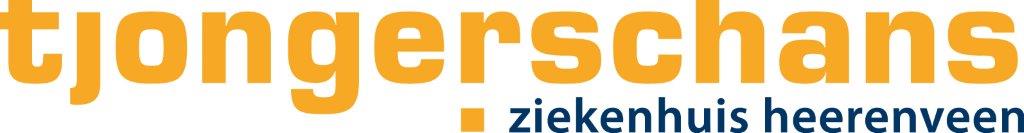 Logo Tjongerschans 1